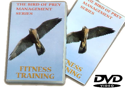 Fitness Training DVD